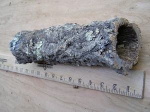 detail_154_corktube.JPG