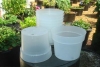 Clear Plastic Pot. 5.5 in. OUT OF STOCK