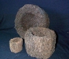 06 in. Tree Fern pot. OUT OF STOCK